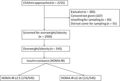 Prevalence of Insulin Resistance in Urban Indian School Children Who Are Overweight/Obese: A Cross-Sectional Study